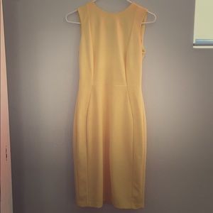 Calvin Klein Sheath Dress